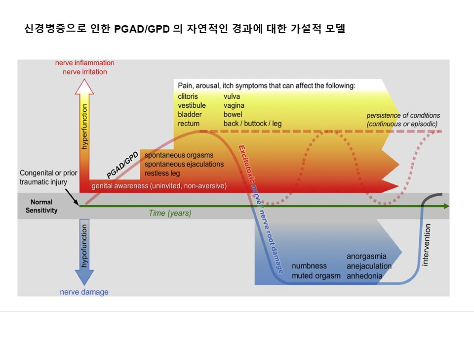 지속성성기흥분장애의 자연사