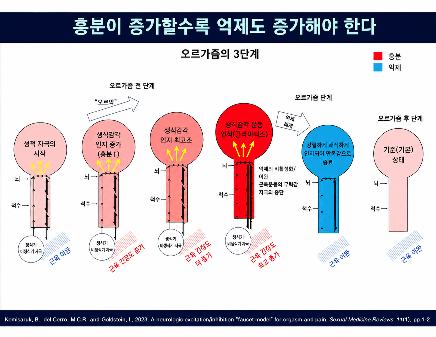 새로운 개념의 오르가즘